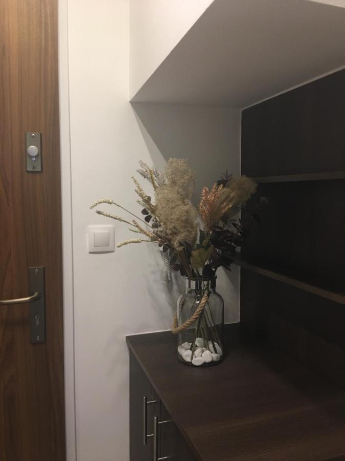 Home Apartment Sopron Exterior photo